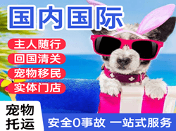 无锡机场货运国际宠物托运 【国